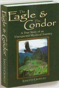 The Eagle and the Condor : A True Story of an Unexpected Mystical Journey
