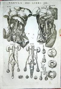 Anatomia del corpo humano nuovamente ristampata e con l