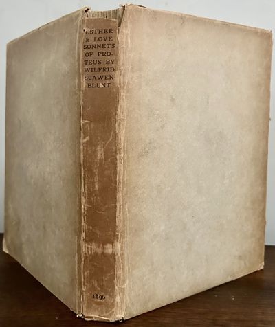 Esther: A Young Man's Tragedy: Together With The Love Sonnets Of Proteus