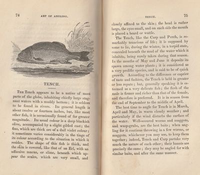 The art of angling, containing directions for fly-fishing, trolling, bottom fishing, making artifical flies, &c. (photo 2)