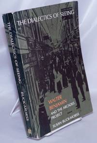 image of The Dialectics of Seeing: Walter Benjamin and the Arcades Project