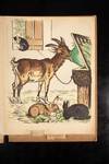 View Image 15 of 20 for Lebende Thierbilder Inventory #06073