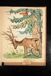 View Image 17 of 20 for Lebende Thierbilder Inventory #06073