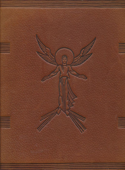 Illustrert familiebibel