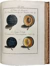 View Image 4 of 12 for Pomona Franconica: Déscription Des Arbres Fruitiers, les plus connus et les plus éstimés en Europ... Inventory #42447