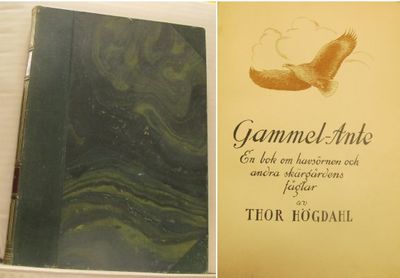 Gammel-Ante. En bok om havsörnen och andra…