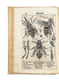 Persio tradotto in verso sciolto e dichiarato da Francesco Stelluti