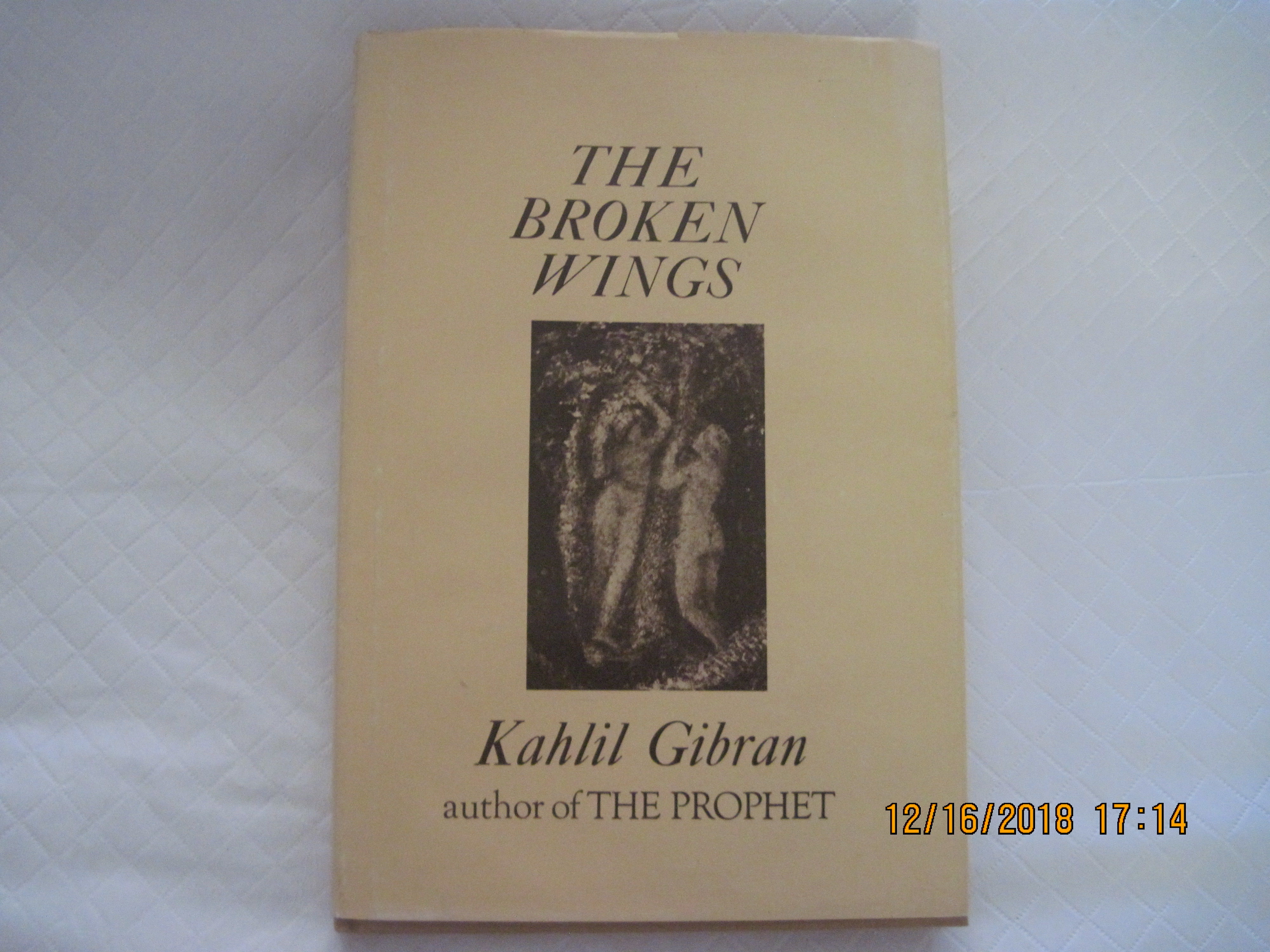 A Bird With A Broken Wing: Care Giving | Citi Of Books