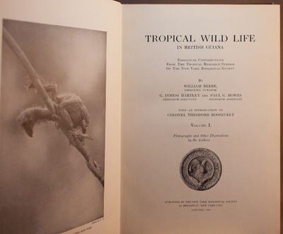 Tropical Wild Life in British Guiana.