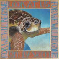 Sea Turtle Art Print: Look At Us