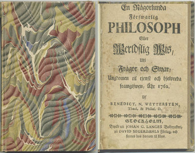 En någorlunda förswarlig philosoph eller…