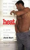 Heat: Gay Men Tell Their Real-Life Sex Stories
