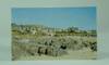 Color (Colour) Photo Postcard of the Isle of Iona, Showing Argyll Hotel , Abbey and Bishop's House