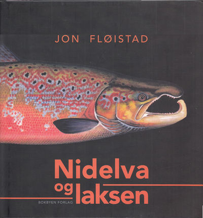 Nidelva og laksen.