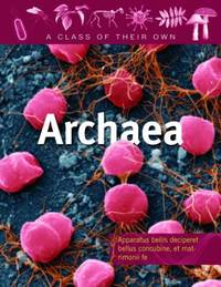 Archaea