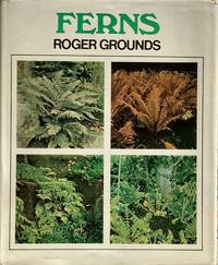 Ferns