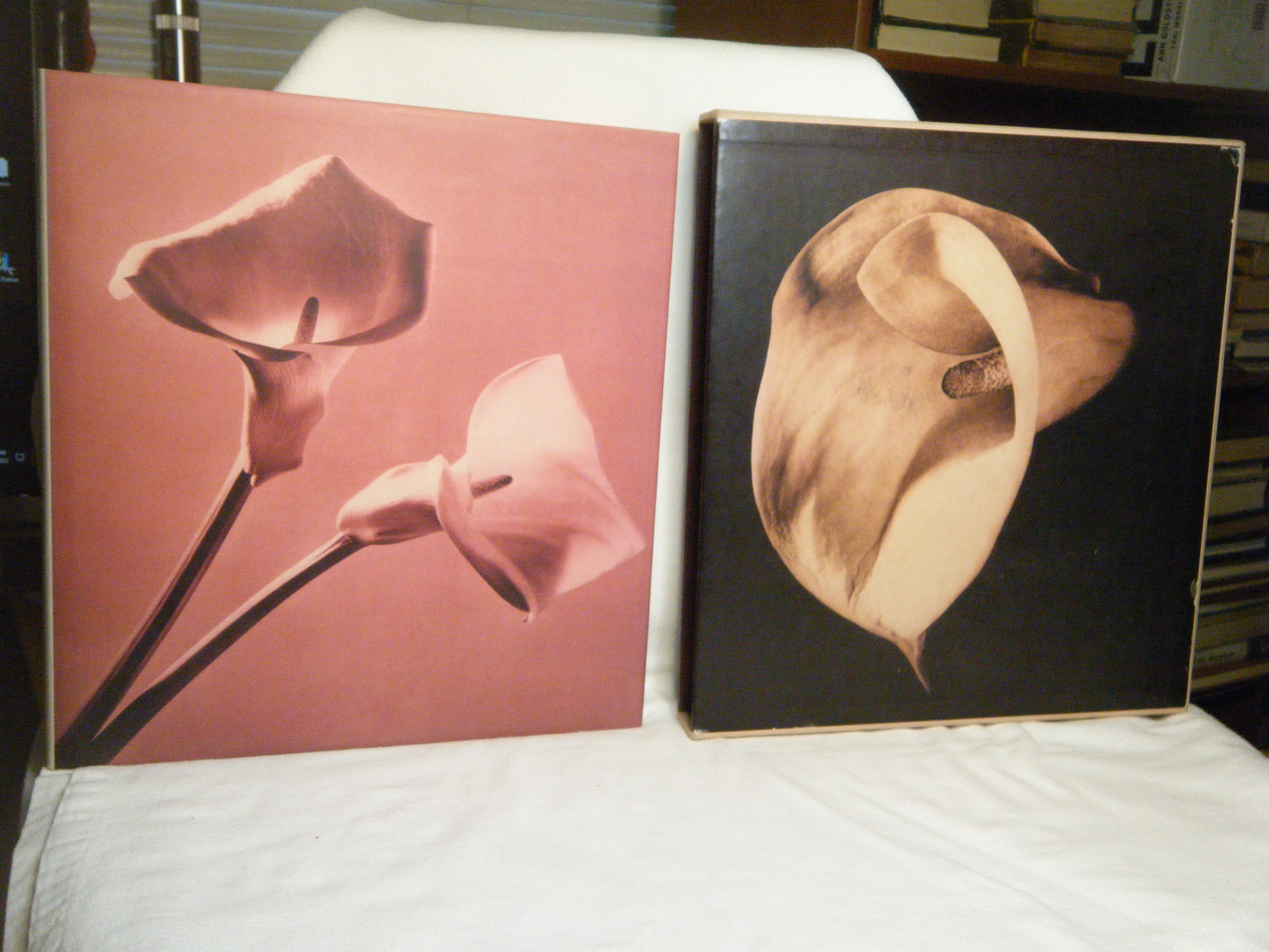 Pistils by Mapplethorpe, Robert | Hardcover | 1996 | Random House 