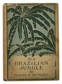 In a Brazilian Jungle: Being a Story of Adventure, with an Insight into Brazilian Life and Industries