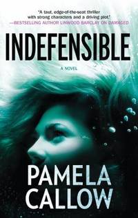 Indefensible (A Kate Lange Novel)