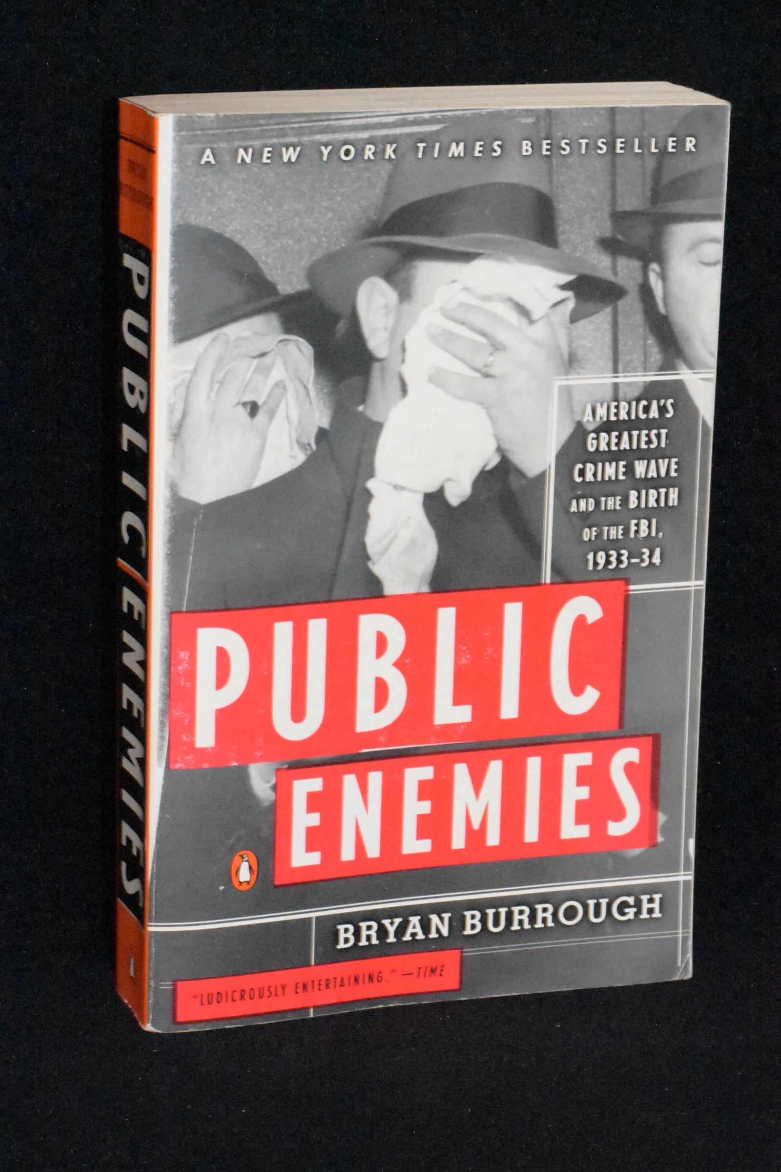 Public Enemies; America's Greatest Crime Wave and the Birth