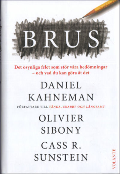 BRUS. Det osynliga felet som stör våra…