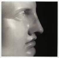 image of Robert Mapplethorpe and the Classical Tradition: Photographs and Mannerist Prints