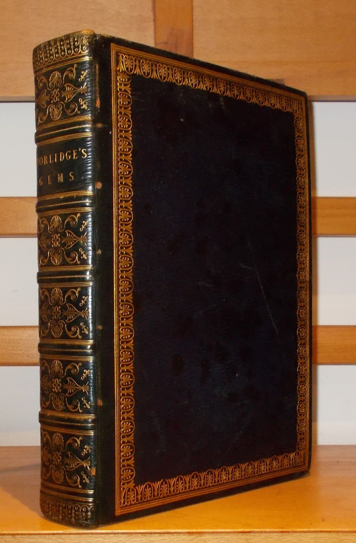 A select collection of drawings from curious antique gems most of 