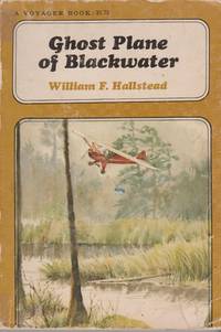 Ghost Plane of Blackwater