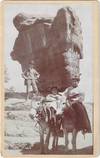 [Balanced Rock]