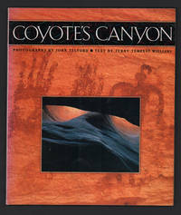 Coyote's Canyon