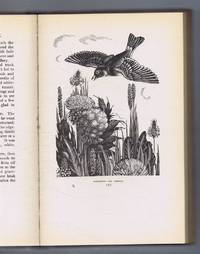 image of Wild Life on Moor and Fell