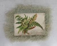 image of Christmas card with fringe