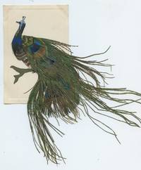 image of Vintage peacock postcard