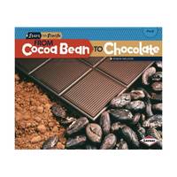 From Cocoa Bean to Chocolate