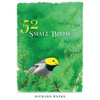 52 Small Birds. Wood Warblers