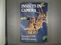 Insects in Camera: A Photographic Essay on Behaviour