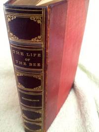 image of The Life of the Bee