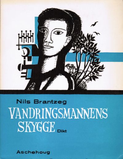 Vandringsmannens skygge.