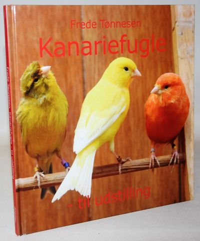 Kanariefugle - til udstilling.