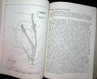 New England Beryllium Investigations (Report of Investigations / Bureau of Mines)