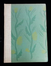 Hilltop Russians in San Francisco