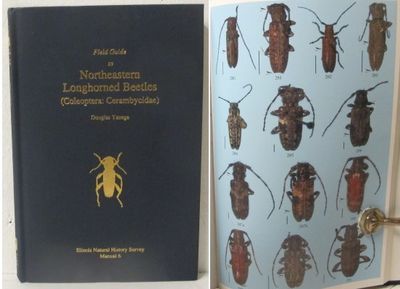 Field Guide to Northeastern Longhorned Beetles…