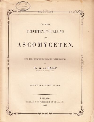 Über die Fruchentwicklung der Ascomyceten. Eine…