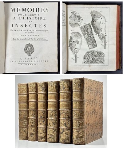 Memoires pour servir a l'Histoire des Insectes.