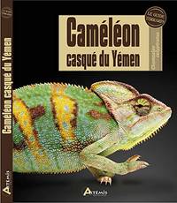 CAMELEON CASQUE DU YEMEN by Schmidt Wolfgang - 2015