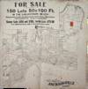 For Sale / 150 Lots 50x100 Ft. / In the Subdivision