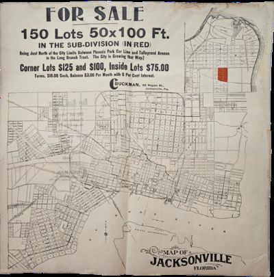 For Sale / 150 Lots 50x100 Ft. / In the Subdivision
