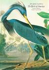 John James Audubon: The Birds of America (Houston, October 15 & 16, 1982)