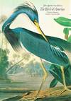 John James Audubon: The Birds of America (Houston, October 15 &amp; 16, 1982)