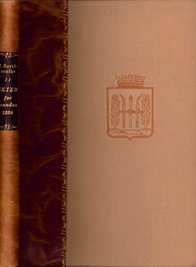 Skien før branden 1886.